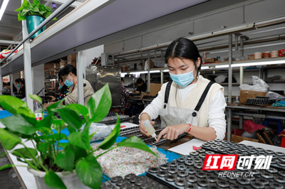 社区“微工厂” 湖南新田灵活促就业的创新实践